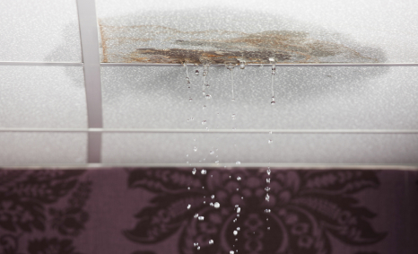 Plumber Meadow Heights